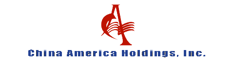 Company Website